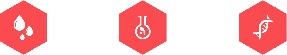 �����Թ�Ӥ�����ļ���ʾ��ͼ