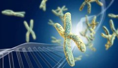 �����������Թ�Ӥ��