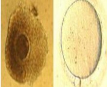 δ�����������