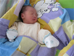 ���ɹ�������ײͣ�������ֲ��7��7��С����˳������