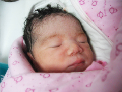 �����������Թ�Ӥ����������������������&��Ůʿ�ɹ�����˫��̥�б���