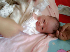 ��ϲ���ݵ���㣬43�����һ����������̥