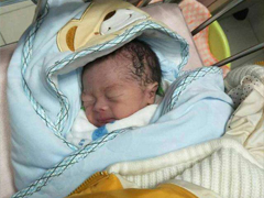 �гɹ��ʰ���������һ�ҳɹ�Բ��˫��̥�б���