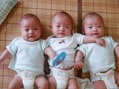 ����������̩������˹���ڵ��н鲢�����⣬���гɹ��ʳɹ���Ը����Ϊ�ְ�