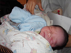 ���������£�35��ȡ����ֲһ�γɹ�