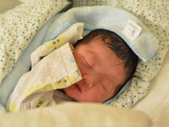 Ѫ�����У���ϲ��������������ǧ���