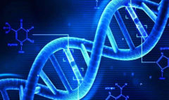 ������֪