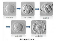 ��������̥����������̥ʲô����