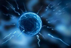 �����Թ�Ӥ����ǰҪ����Щ���