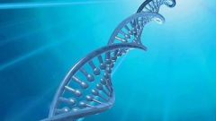 �Ҹλ���Ҳ�����н����ı���Ŷ