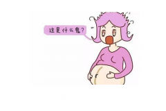 ������ʳ����Ԥ�����ݴ���������