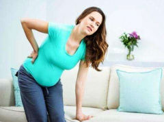 ���������ڼ�Ӫ����̥������Ҫ��