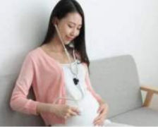 ����FSH�벻�в����Ĺ�ϵ